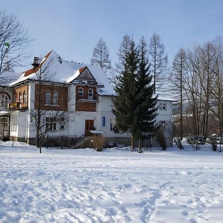 Tatrytop Studio Krupowki Закопане Экстерьер фото